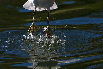 Image showing leaving