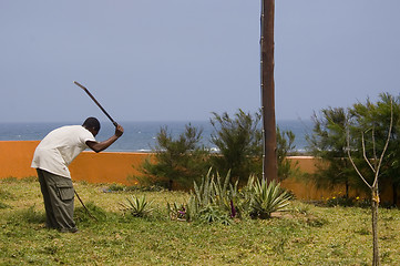 Image showing Man cutting grass Mozambique