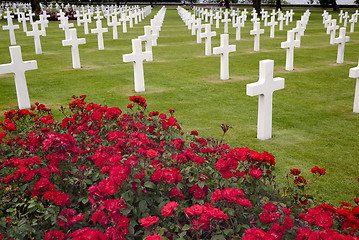 Image showing American cemetery in Omaha Beach, Normandy