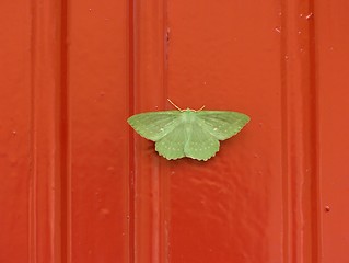 Image showing Large Emerald on Red Wall