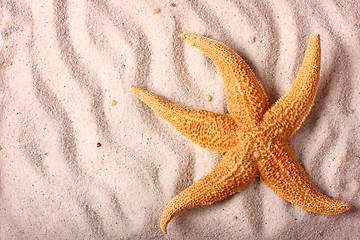 Image showing Starfish on the sand