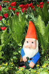 Image showing Garden gnome