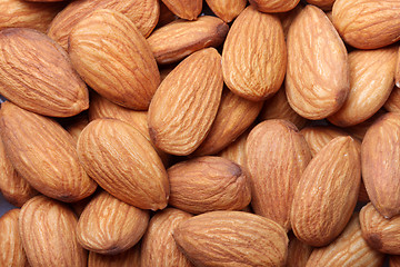 Image showing Almond background