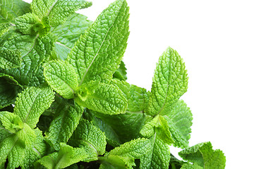 Image showing Border of mint 