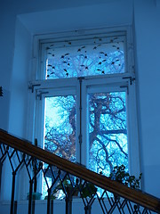 Image showing Old window