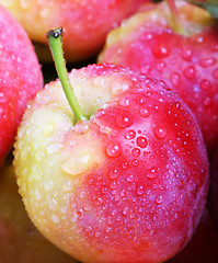 Image showing Fresh apples