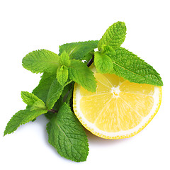 Image showing Mint and lemon