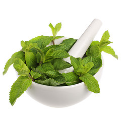 Image showing Mortar with mint