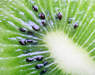 Image showing Kiwi close-up