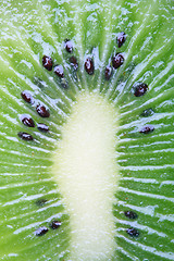 Image showing Kiwi close-up