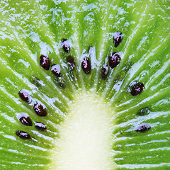 Image showing Kiwi close-up