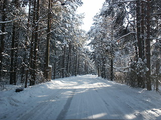 Image showing Winter road