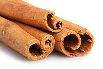 Image showing Cinnamon sticks