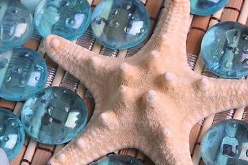 Image showing Starfish close-up