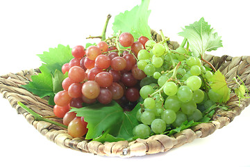 Image showing red and bright grapes