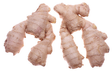 Image showing Ginger