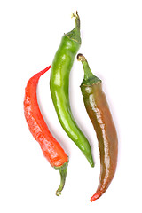 Image showing Three chili peppers