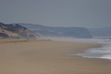 Image showing Mozambique coast