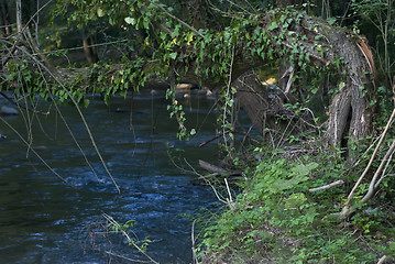 Image showing mountain river 