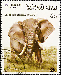 Image showing African elephant stamp.
