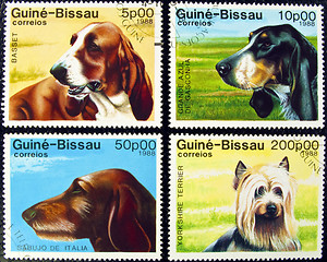 Image showing Collection of dog stamps.