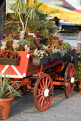 Image showing flower coach