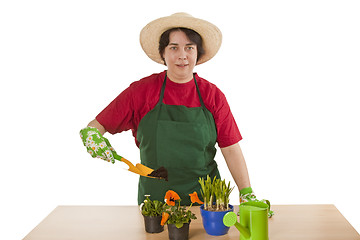 Image showing Gardener