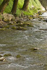 Image showing river in Serbia