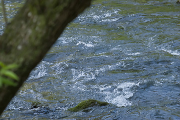 Image showing river detail