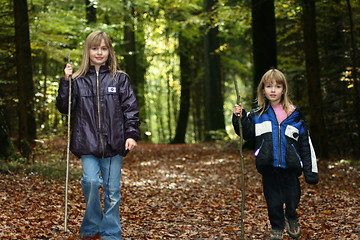 Image showing walking in the forest