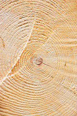 Image showing Wood texture