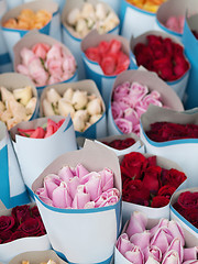 Image showing Bunch of roses