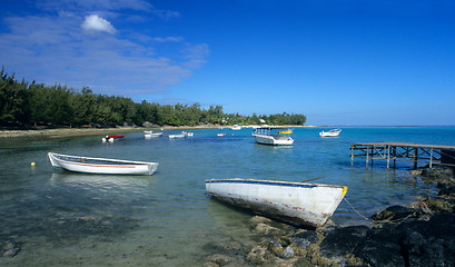 Image showing Lagoon at low tide Mauritius Island