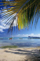Image showing Beach at Cape Malheureux Mauritius Island