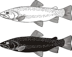 Image showing Trout Fish illustration