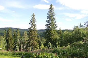 Image showing Rural landscape