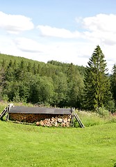 Image showing Pile of wood