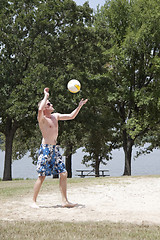 Image showing Serving Volleyball