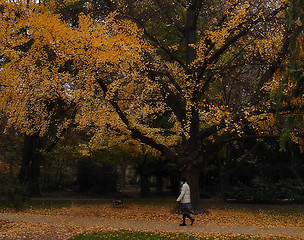 Image showing Autumn 2