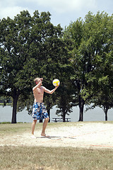 Image showing Volleyball Player