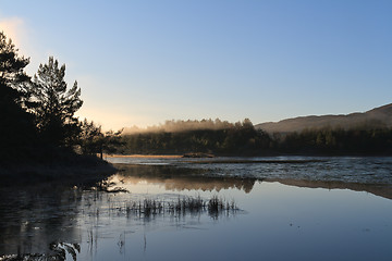 Image showing Frost 