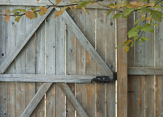 Image showing Early Autumn Fence Gate