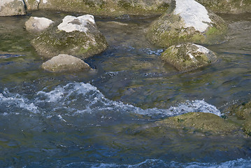 Image showing Gradac