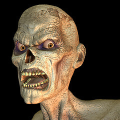 Image showing Zombie Portrait