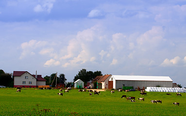 Image showing Lithuanian farmer's homestead