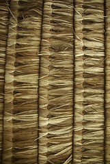 Image showing palm leaf roof