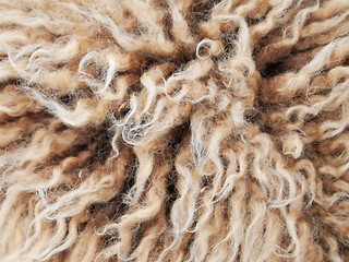 Image showing Sheep Wool 