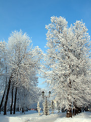 Image showing snow winter park under blue sky