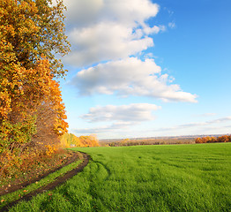 Image showing autumn landscape with green field