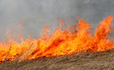 Image showing big red fire in field